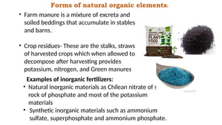 Examples of inorganic fertilizers:
• Natural inorganic materials as Chilean nitrate of soda,
rock of phosphate and most of the potassium
materials
• Synthetic inorganic materials such as ammonium
sulfate, superphosphate and ammonium phosphate.
Forms of natural organic elements:
• Farm manure is a mixture of excreta and
soiled beddings that accumulate in stables
and barns.
• Crop residues- These are the stalks, straws
of harvested crops which when allowed to
decompose after harvesting provides
potassium, nitrogen, and Green manures
 