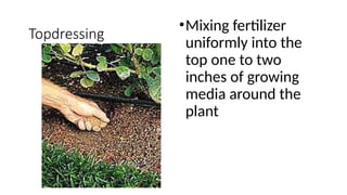 Topdressing
•Mixing fertilizer
uniformly into the
top one to two
inches of growing
media around the
plant
 