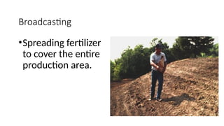 Broadcasting
•Spreading fertilizer
to cover the entire
production area.
 
