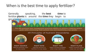 When is the best time to apply fertilizer?
Generally speaking, the best time to
fertilize plants is around the time they begin to
grow actively.
 
