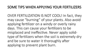 SOME TIPS WHEN APPLYING YOUR FERTILIZERS
OVER FERTILIZATION IS NOT COOL! In fact, they
may cause “burning” of your plants. Also avoid
applying fertilizer on a windy or overly rainy
days. This can cause your fertilizers to be
misplaced and ineffective. Never apply solid-
type of fertilizers when the soil is extremely dry
and be sure to water it thoroughly after
applying to prevent plant burn.
 