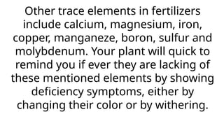 Other trace elements in fertilizers
include calcium, magnesium, iron,
copper, manganeze, boron, sulfur and
molybdenum. Your plant will quick to
remind you if ever they are lacking of
these mentioned elements by showing
deficiency symptoms, either by
changing their color or by withering.
 