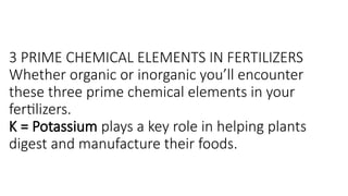 3 PRIME CHEMICAL ELEMENTS IN FERTILIZERS
Whether organic or inorganic you’ll encounter
these three prime chemical elements in your
fertilizers.
K = Potassium plays a key role in helping plants
digest and manufacture their foods.
 