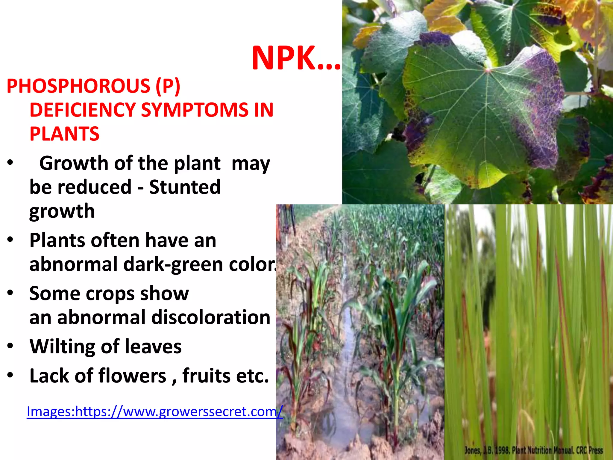 FERTILIZERS,FERTILIZER MIXTURES AND NPK CONTENT SMG | PPT