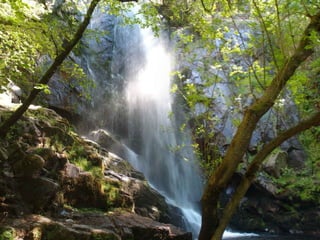 Fervenza de agua caida panton