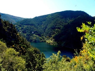 Fervenza de agua caida panton