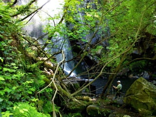 Fervenza de agua caida panton