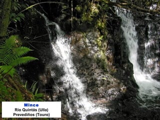 Mince
Río Quintás (Ulla)
Prevediños (Touro)
 