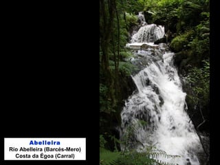 Abelleira
Río Abelleira (Barcés-Mero)
Costa da Égoa (Carral)
 