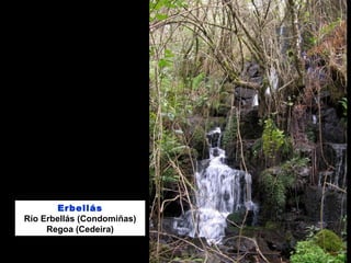 Erbellás
Río Erbellás (Condomiñas)
Regoa (Cedeira)
 