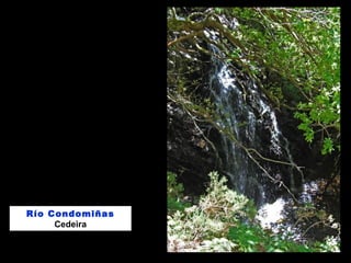 Río Condomiñas
Cedeira
 