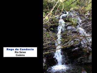 Rego da Candocía
Río Seixo
Cedeira
 