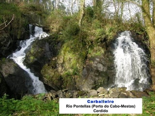 Carballeiro
Río Pontellas (Porto do Cabo-Mestas)
Cerdido
 