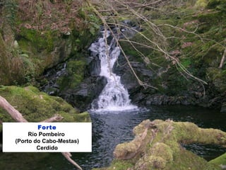 Forte
Río Pombeiro
(Porto do Cabo-Mestas)
Cerdido
 