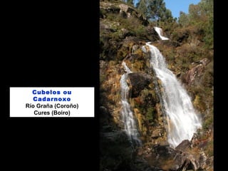 Cubelos ou
Cadarnoxo
Río Graña (Coroño)
Cures (Boiro)
 
