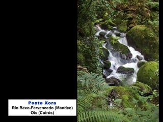 Ponte Xora
Río Bexo-Fervencedo (Mandeo)
Ois (Coirós)
 