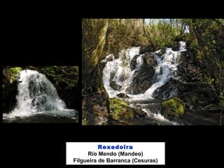 Rexedoira
Río Mendo (Mandeo)
Filgueira de Barranca (Cesuras)
 