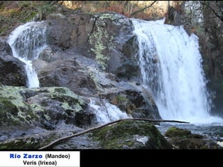 Río Zarzo (Mandeo)
Verís (Irixoa)
 