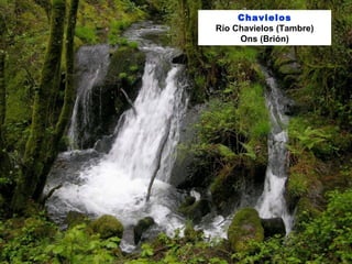 Chavielos
Río Chavielos (Tambre)
Ons (Brión)
 