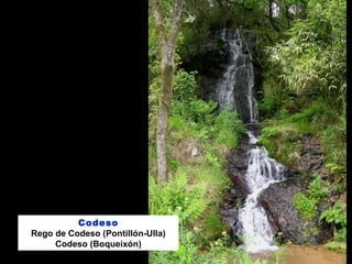 Codeso
Rego de Codeso (Pontillón-Ulla)
Codeso (Boqueixón)
 