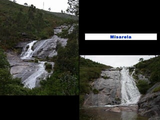 Misarela
 