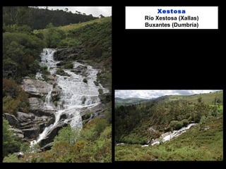 Xestosa
Río Xestosa (Xallas)
Buxantes (Dumbría)
 
