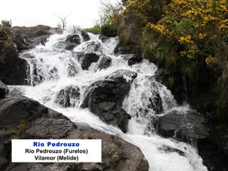 Río Pedrouzo
Río Pedrouzo (Furelos)
Vilamor (Melide)
 