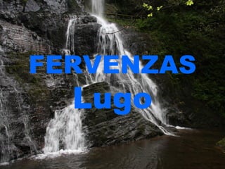FERVENZAS 
Lugo 
 