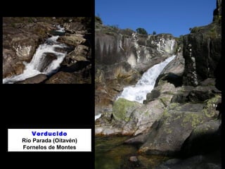 Verducido 
Río Parada (Oitavén) 
Fornelos de Montes 
 