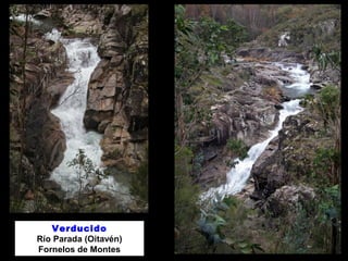 Verducido 
Río Parada (Oitavén) 
Fornelos de Montes 
 
