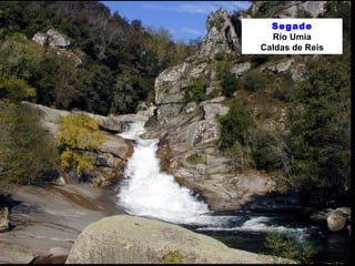 Segade 
Río Umia 
Caldas de Reis 
 
