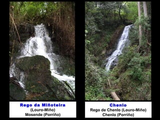 Rego da Miñoteira 
(Louro-Miño) 
Mosende (Porriño) 
Chenlo 
Rego de Chenlo (Louro-Miño) 
Chenlo (Porriño) 
 