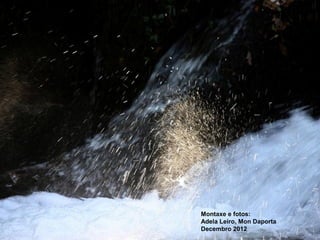 Montaxe e fotos: 
Adela Leiro, Mon Daporta 
Decembro 2012 
