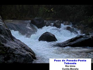 Pozo do Penedo-Ponte 
Taboada 
Río Umia 
Cuntis-Moraña 
 