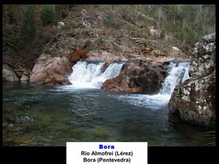 Bora 
Río Almofrei (Lérez) 
Bora (Pontevedra) 
 