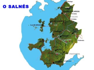 O SALNÉS 
 