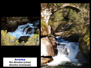 Arrotea 
Río Almofrei (Lérez) 
Almofrei (Cotobade) 
 