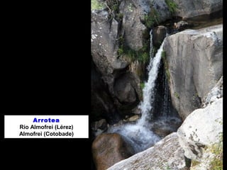 Arrotea 
Río Almofrei (Lérez) 
Almofrei (Cotobade) 
 