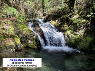 Rego dos Fornos 
(Sequeiros-Umia) 
O Couso (Campo Lameiro) 
 