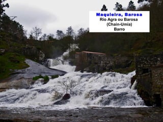 Maquieira, Barosa 
Río Agra ou Barosa 
(Chaín-Umia) 
Barro 
 