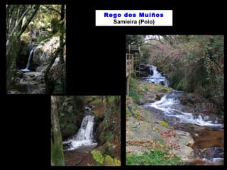 Rego dos Muíños 
Samieira (Poio) 
 