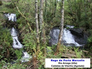 Rego de Porto Marcelín 
Río Arnego (Ulla) 
Caldelas de Vilariño (Agolada) 
 