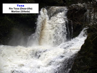 Toxa 
Río Toxa (Deza-Ulla) 
Martixe (Silleda) 
 
