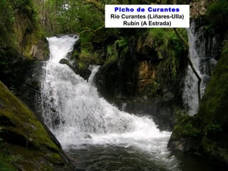 Picho de Curantes 
Río Curantes (Liñares-Ulla) 
Rubín (A Estrada) 
 