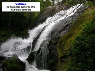 Valiñas 
Río Curantes (Liñares-Ulla) 
Rubín (A Estrada) 
 