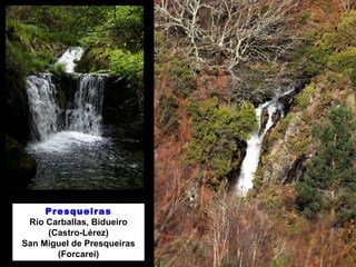 Presqueiras 
Río Carballas, Bidueiro 
(Castro-Lérez) 
San Miguel de Presqueiras 
(Forcarei) 
 