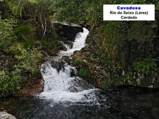 Cavadosa 
Río do Seixo (Lérez) 
Cerdedo 
 