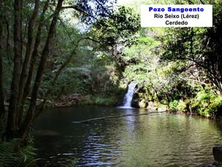 Pozo Sangoento 
Río Seixo (Lérez) 
Cerdedo 
 