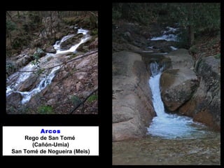 Arcos 
Rego de San Tomé 
(Cañón-Umia) 
San Tomé de Nogueira (Meis) 
 