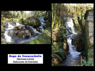Rego de Vesacarballa 
(Quireza-Lérez) 
Sabucedo (A Estrada) 
 
